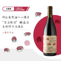 小绵羊 意大利小绵羊自然酒轻橙酒干红干白葡萄酒起泡酒750ml 小绵羊干红*1瓶