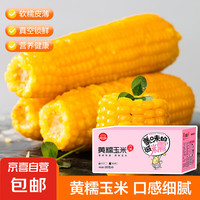 Morning cup 精品黄糯玉米 铝箔真空 新玉米锁鲜黄玉米粘甜糯新鲜低脂 黄糯玉米220g*8