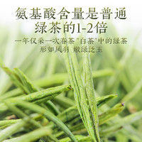 狮峰 2024新茶安吉珍鲜白茶狮峰牌明前特级白茶叶正宗珍稀绿茶春茶散装