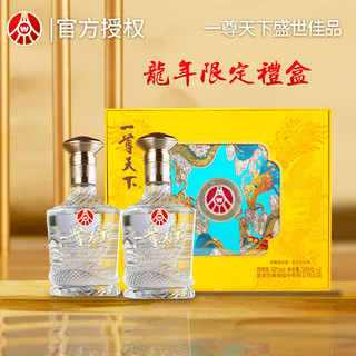 WULIANGYE 五粮液 一尊天下盛世佳品 500ml*2瓶