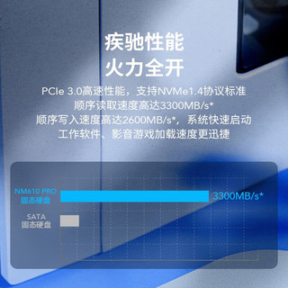 雷克沙（Lexar）NM610PRO 2TB SSD固态硬盘 M.2接口(NVMe协议)PCIe 3.0x4+E300硬盘盒套装