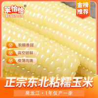 笨恰恰      白糯玉米300g*10根