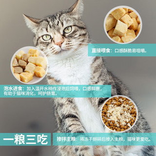 路斯宠物猫零食猫咪冻干鸡胸肉鸭胸肉干肉粒成猫幼猫零食 【实惠装】冻干鸭胸肉45g*2盒