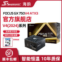 百亿补贴：Seasonic 海韵 FOCUS GX系列 金牌 (90%) 全模组ATX电源