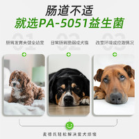 麦德氏 宠物益生菌粉狗狗吃的柯基犬用拉稀肠胃调理麦德士肠胃宝