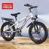 FLYING PIGEON飞鸽儿童自行车女孩单车小中大童山地车18-22寸变速减震碟刹
