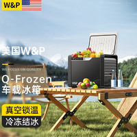 W&P 车载冰箱压缩机制冷车家两用12V24V （压缩机式）车用 20升