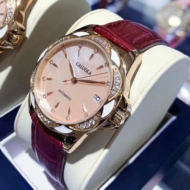 CALUOLA 卡罗莱 女表自动机械表女士手表钢带时尚十大防水名牌腕表高档品牌手表女 金粉酒红皮带