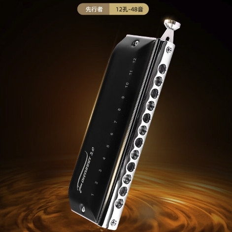 东方鼎 EAST TOP 半音阶口琴12孔48音 先行者2.0 初学推荐