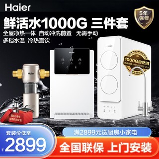 百亿补贴：Haier 海尔 净水器家用直饮机RO反渗透自来水过滤1000G速热管线10H22套装