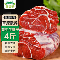 呼贝伦 国产原切牛腱子肉 2kg