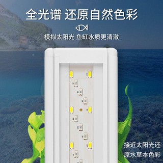 LED鱼缸灯节能水草灯usb接口水族照明灯夹灯小型造景灯爆藻支架灯