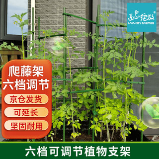 Bloom Life 匠心绽放 园艺支架 四边形60cm 爬藤架 番茄黄瓜种菜架子