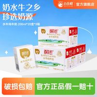 BONUS 百菲酪 7月百菲酪60盒水牛纯牛奶20盒*3箱学生儿童纯牛奶营养健康早餐奶