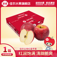 佳农云南红露丑苹果一级肉质鲜嫩清甜脆爽新鲜水果 果径70-75cm 15粒装 净重4.8斤