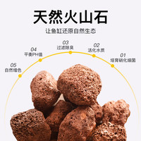 甜沃 火山石鱼缸垫底砂造景大块火山岩颗粒古法养鱼过滤材溪流水质