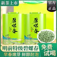 珍观 正宗明前碧螺春浓香龙井茶叶500g绿茶组合高山罐装礼盒2024新茶