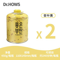 Dr.HOWS 韩国户外扁便携式户外高原高山野外野炊气罐 高山气450*2