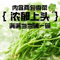 88VIP：BAIXIANG 白象 香菜面 115g*5包 醇香爆香型