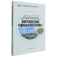 安岳气田龙王庙组气藏特征与高效开发模式/特大型碳酸盐岩气藏高效开发丛书