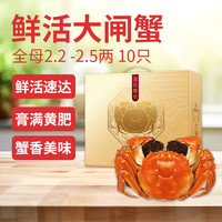 【活蟹】莲花蟹农鲜活大闸蟹全母蟹2.2-2.5两10只去绳足重死蟹包赔螃蟹中秋礼盒 六月黄2.3-2.6两10只