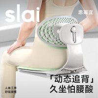 slai 思莱宜 护腰坐垫 人体工学