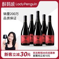 LADY PENGUIN 醉鹅娘 卡萨布兰卡谷黑皮诺干型红葡萄酒