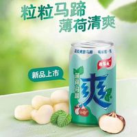 88VIP：杨协成 果味饮料 薄荷马蹄爽荸荠 300ml*6罐