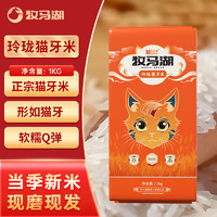 Mumahu 牧马湖 玲珑猫牙米 1kg 真空装