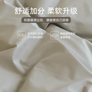 安睡宝（SOMERELLE）100纯棉磨毛被套套件 全棉磨毛印花四件套 潮绣磨毛双人四件套-灰豆绿 1.5米床四件套200*230cm