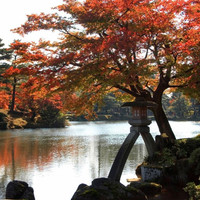 被誉为“小京都”，红叶季不想人挤人来这里！日本金泽日航酒店 时尚双床房1晚（可免费携带1名0-12岁儿童）