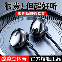 百亿补贴：LEnRuE 蓝悦 新款有线耳机高音质带麦华为vivo小米OPPO降噪适用typec接口