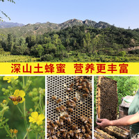 纯正土蜂蜜自产自销成熟蜂蜜1000g