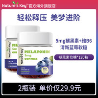 Nature's Key 美国Nature's Key自然之钥褪黑素睡眠软糖含维生素B6帮助改善睡眠60粒/瓶 褪黑素软糖