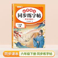 斗半匠小学语文同步练字帖一年级二年级下册三四五六年级下人教版字帖每日一练硬笔字贴小学生专用笔画笔顺二十一世纪出版社