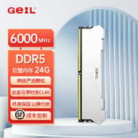 百亿补贴：GeIL 金邦 ddr5 RGB巨蟹6000(24G*2)台式机内存条五代XMP电竞内存条全新