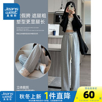 真维斯女装2024秋季宽松显瘦慵懒高腰舒适垂感百搭休闲裤LY 浅灰色8020 165/68A/L