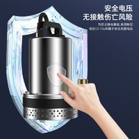 百亿补贴：FOGO 富格 直流潜水泵家用小型12v24v48v60v72v电瓶电动车农用灌溉抽水