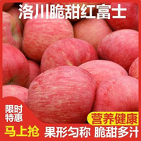 黄花地 陕西洛川红富士苹果 5斤装 大果 7-9个