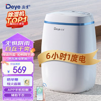 Deye 德业 DYD-E12A3 除湿机 12L/D