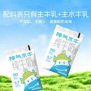 AMAZING BUFFALO 神气水牛 纯牛奶160ml*10袋装鲜奶口感儿童学生营养早餐奶全脂牛奶