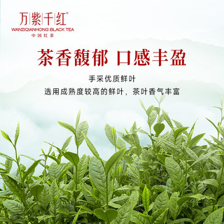 万紫千红特级红茶 峨眉山茶75g 2024罐装茶叶自己喝 25001 单罐尝鲜装(75g)