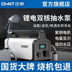 CHNT 正泰 充电式抽水泵浇菜神器小型自动抽水器农用灌溉户外浇地抽水机