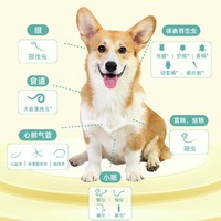 大型犬内外驱虫省心装：海乐旺 狗内外驱虫套装  海乐旺+喜倍安 20-40kg  三粒三支季度套装