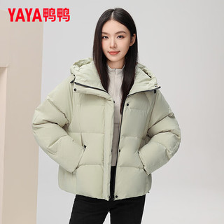 鸭鸭（YAYA）羽绒服女短款2024年冬季小个子时尚百搭连帽防风保暖外套ZX 绿色 165/88A(L)