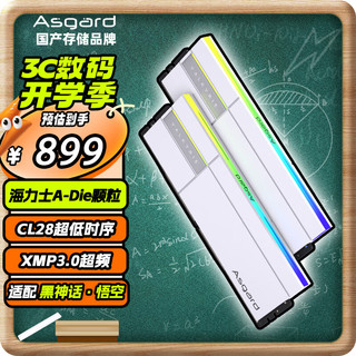 阿斯加特（Asgard）32GB(16Gx2)套 DDR5 6000 台式机内存条 RGB灯条-女武神·瓦尔基里Ⅱ代【C28】极地白