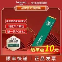 FANXIANG 梵想 高速固态硬盘SSD M.2接口PCIe4.0x4 台式机笔记本电脑配件500GB