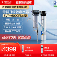 EVERPURE 爱惠浦 EVP-3000 五级过滤净水器 直饮净水机  抑制水垢 经济实惠