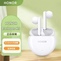 HONOR 荣耀 Earbuds X5 真无线蓝牙耳机