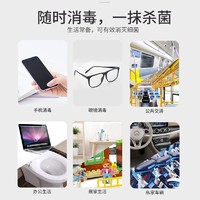 海氏海诺 75%酒精消毒湿巾便携10片*10包医用杀菌家用湿纸巾学生